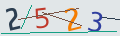 verifycode